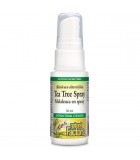 Natural Factors 내추럴 팩터스 티트리 스프레이 30mL | 매일 업데이트되는 특가 상품 | VITASHOP