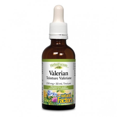 Natural Factors 내추럴 팩터스 HerbalFactors 발레리안 250 mg, 50 mL | 매일 업데이트되는 특가 상품 | VITASHOP