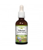 Natural Factors 내추럴 팩터스 HerbalFactors 발레리안 250 mg, 50 mL | 매일 업데이트되는 특가 상품 | VITASHOP