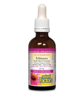 Natural Factors ECHINAMIDE Echinacea Alcohol-Free Fresh Herb Tincture, 50 mL | Unbeatable Prices, Daily Deals | VITASHOP