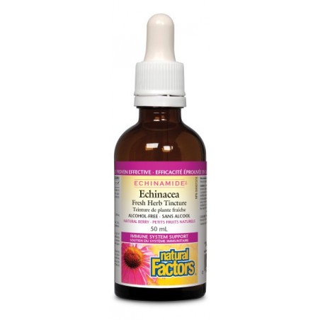 Natural Factors 내추럴 팩터스 ECHINAMIDE Echinacea 무알코올 프레시 허브 팅크 50mL | 매일 업데이트되는 특가 상품 | VITASHOP