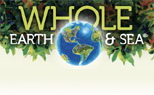 Whole Earth & Sea