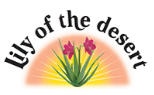 Lily of the desert